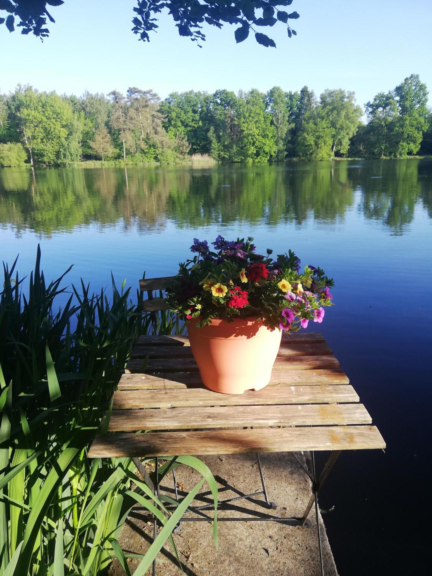 La maison du lac Cul-des-Sarts Extérieur photo